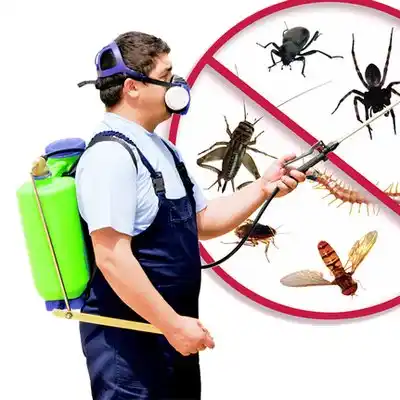 pest control Madison Park